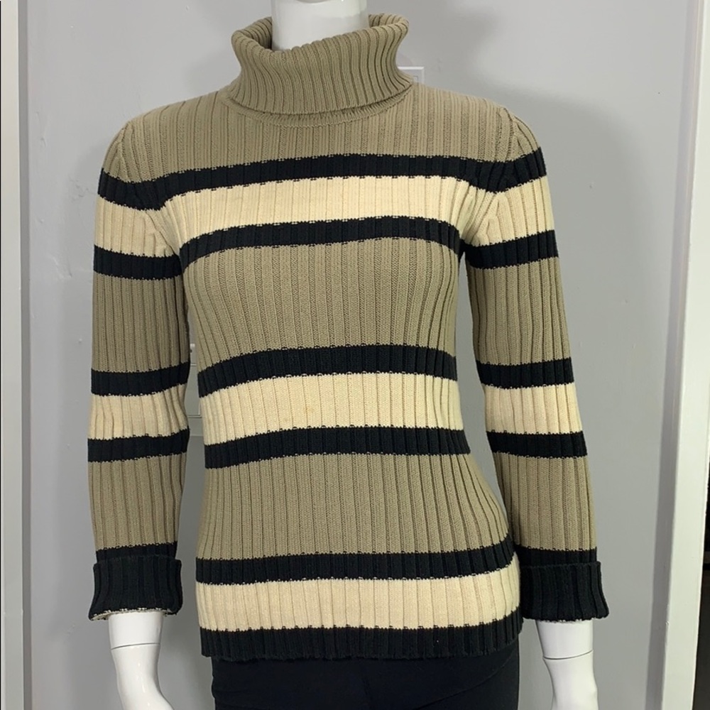 Ann Taylor Striped Turtleneck Sweater